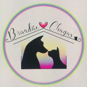 PROJETO BRANDÃO CHAGAS