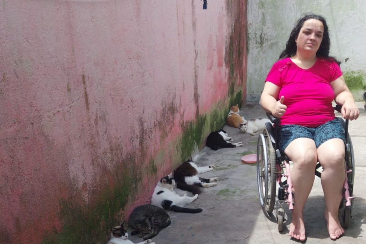 CASA DE GATOS FELV