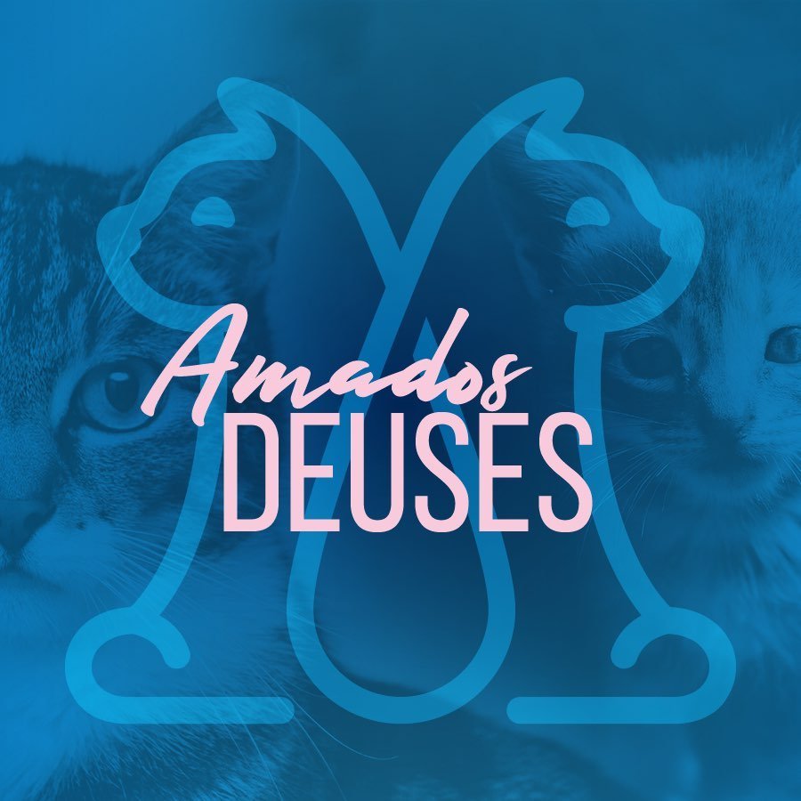 PROJETO AMADOS DEUSES