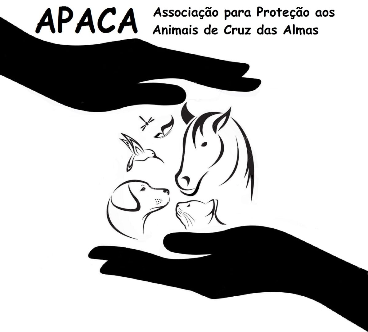 Apaca Cruz das Almas