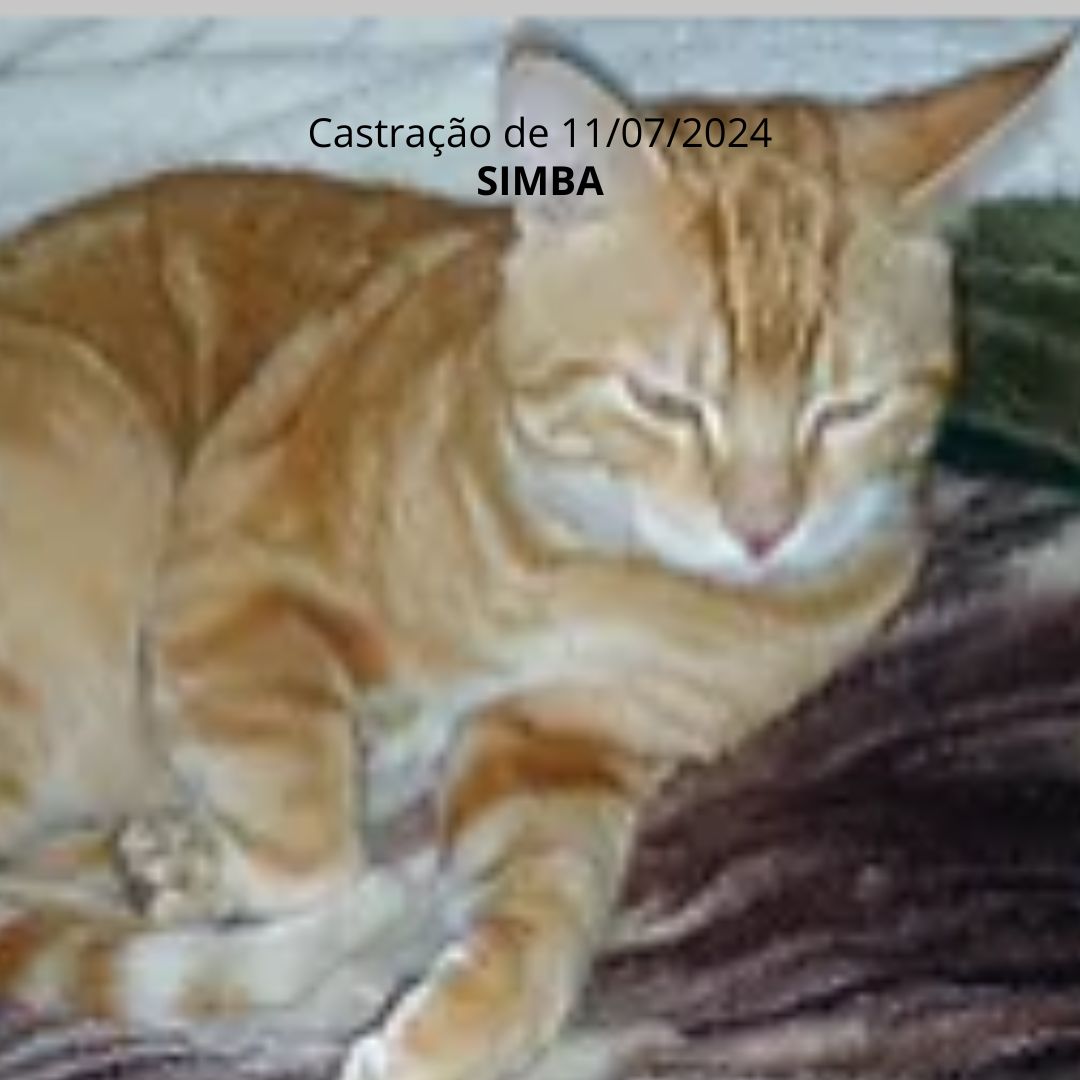 Imagem